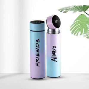 Temperature Bottle